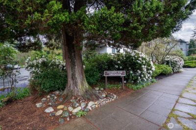 3505 W Government Way #205, Seattle, WA 98199 - Photo 28