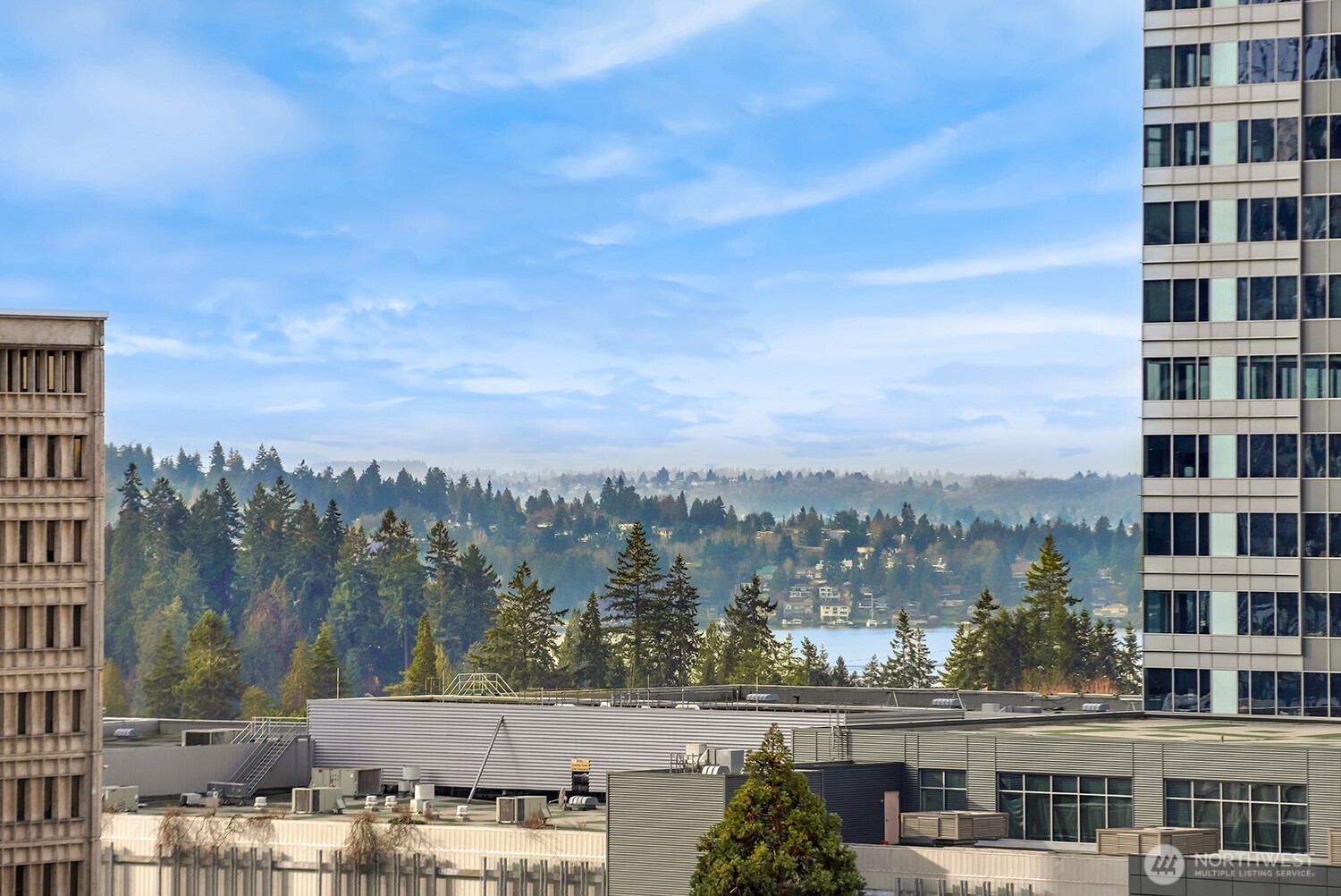 10650 NE 9th Place #1520, Bellevue, WA 98004