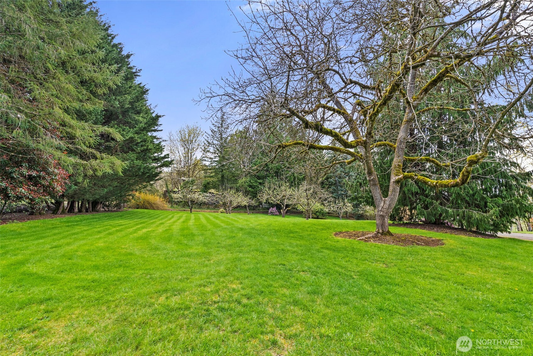 213 Bowen Road , Mossyrock, WA 98564