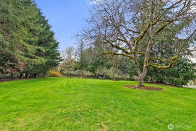 213 Bowen Road , Mossyrock, WA 98564 - Photo 34