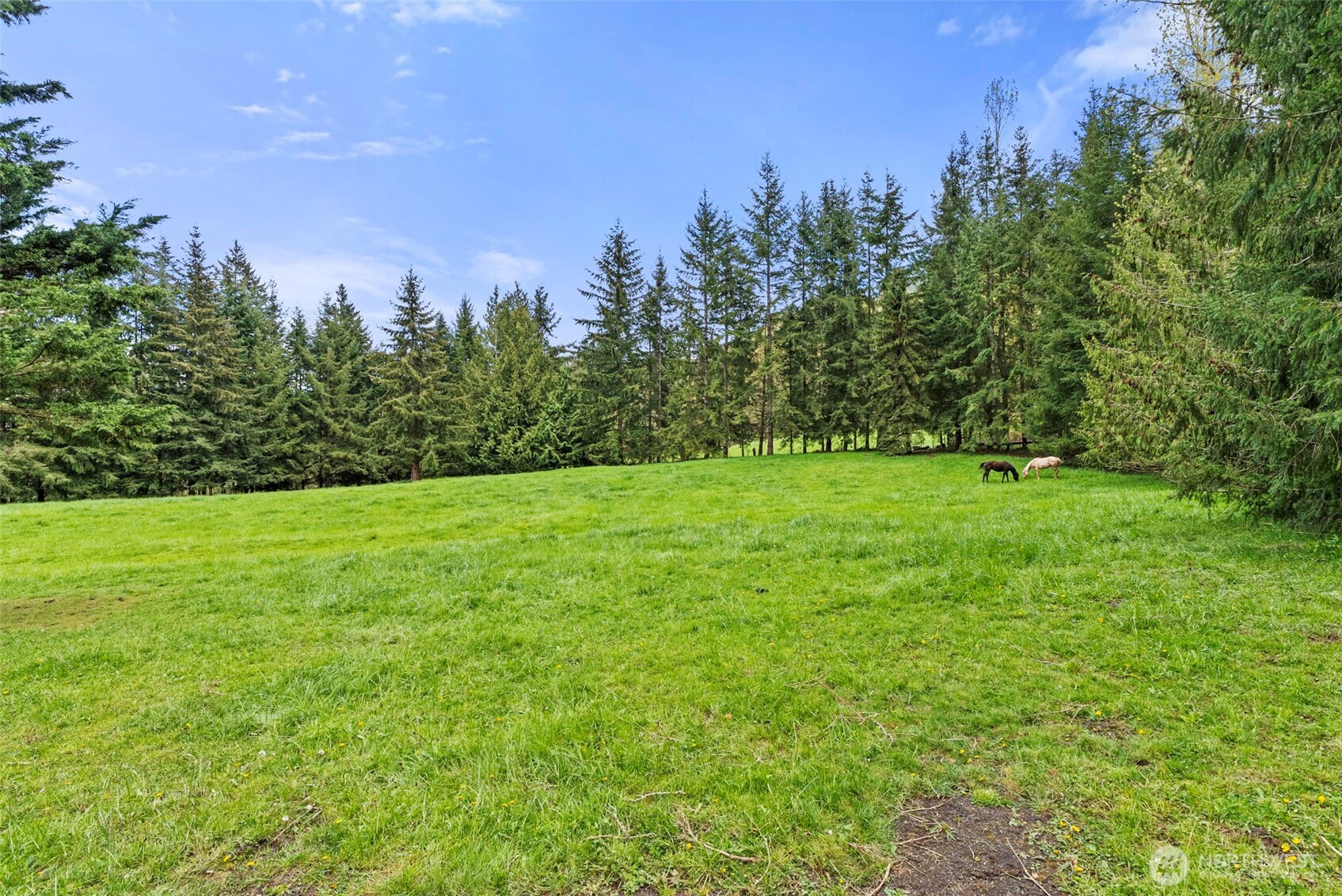 213 Bowen Road , Mossyrock, WA 98564