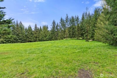 213 Bowen Road , Mossyrock, WA 98564 - Photo 35