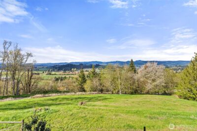213 Bowen Road , Mossyrock, WA 98564 - Photo 38