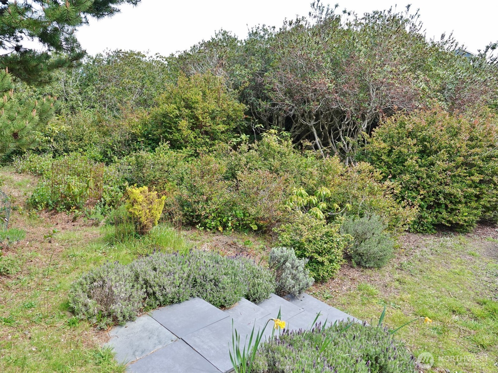 1056 1057 Greenview Avenue SW, Ocean Shores, WA 98569