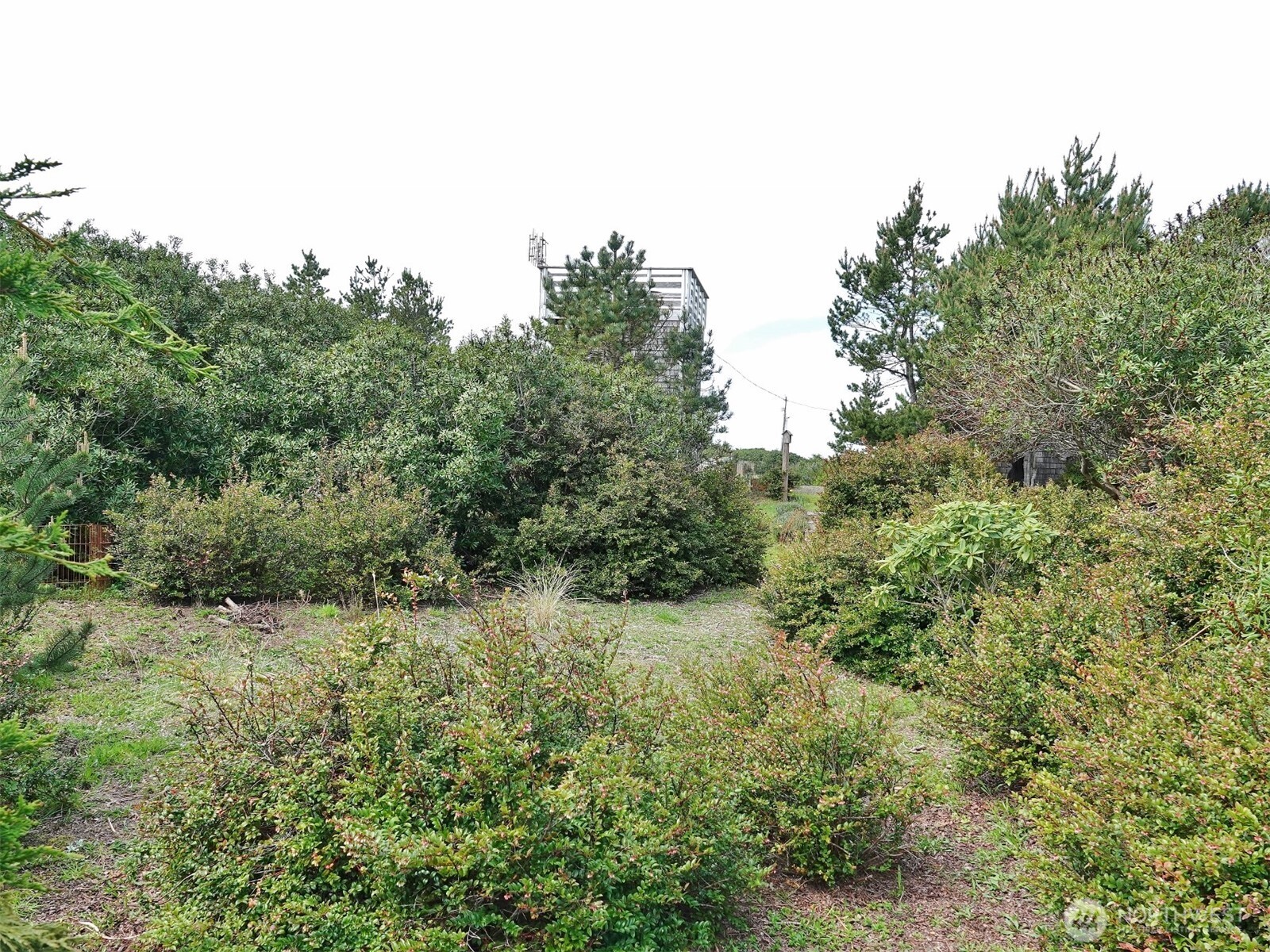 1056 1057 Greenview Avenue SW, Ocean Shores, WA 98569