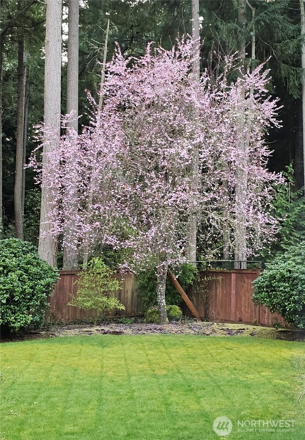 1822 41st Street NW, Gig Harbor, WA 98335