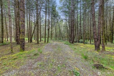 14439 Kayson Lane SE, Tenino, WA 98589 - Photo 11