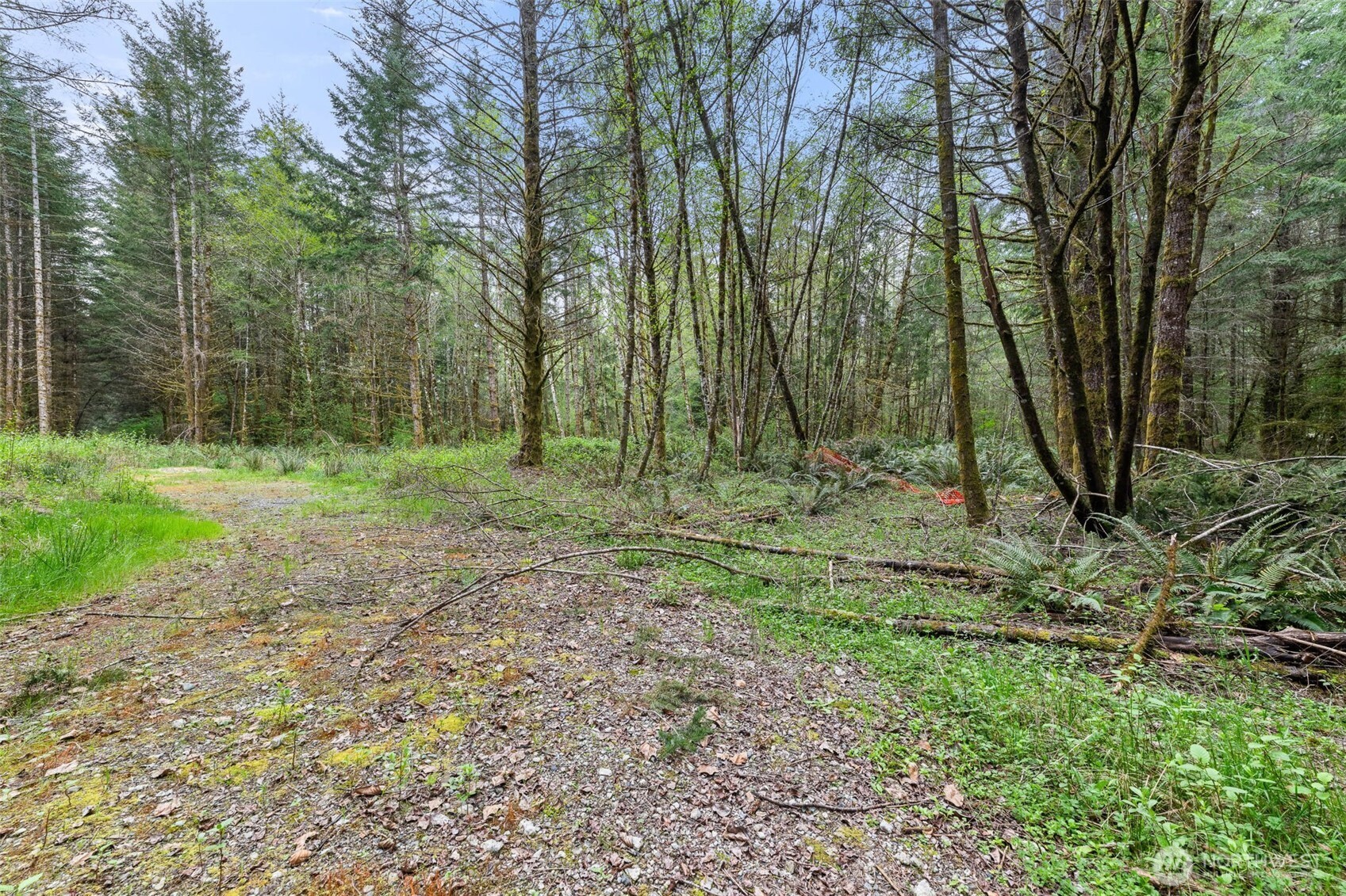 14439 Kayson Lane SE, Tenino, WA 98589