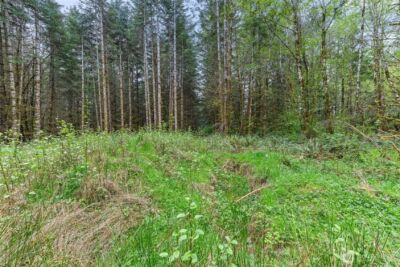 14439 Kayson Lane SE, Tenino, WA 98589 - Photo 15