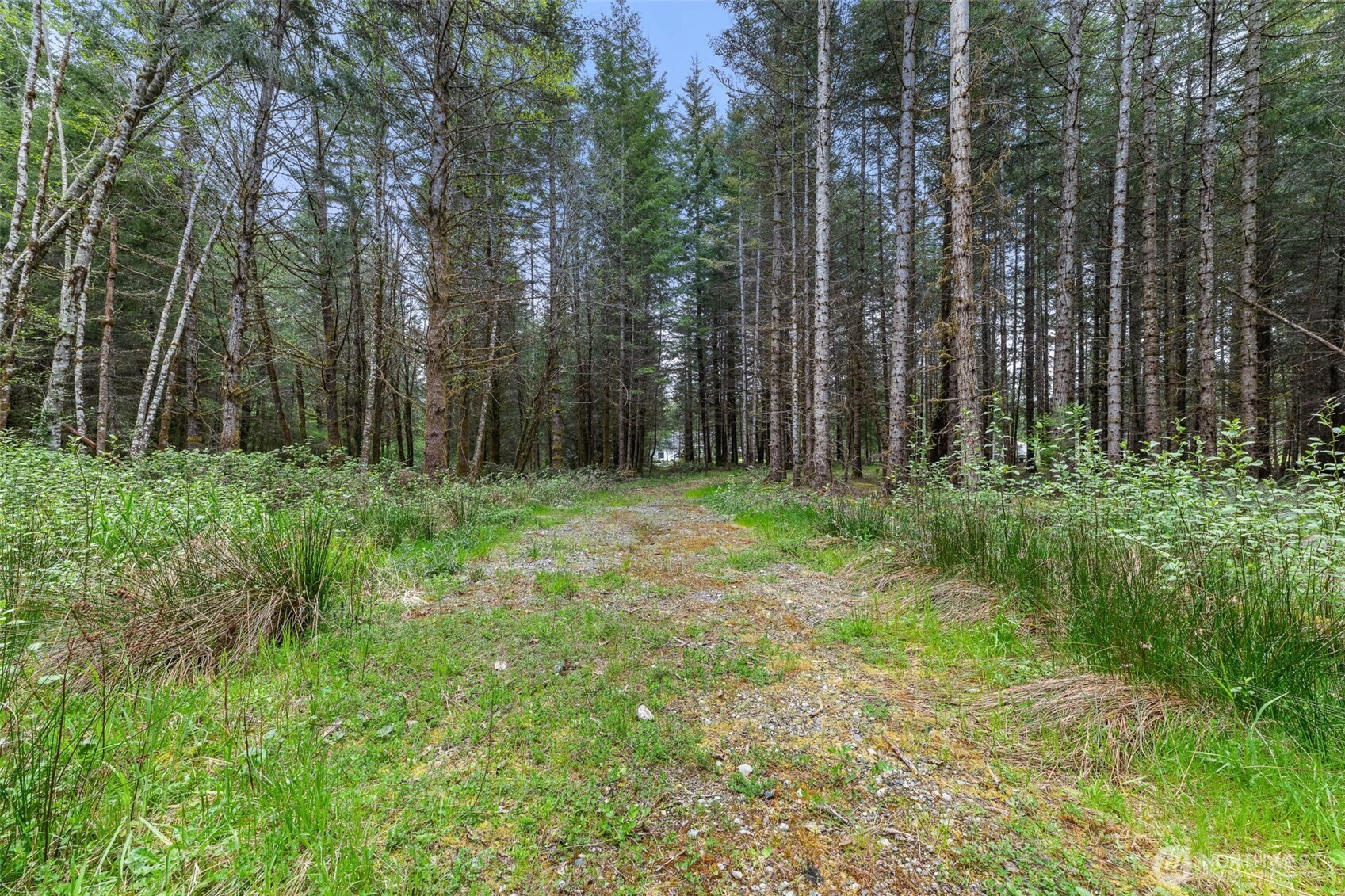 14439 Kayson Lane SE, Tenino, WA 98589