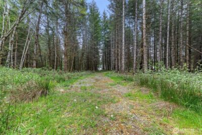 14439 Kayson Lane SE, Tenino, WA 98589 - Photo 16