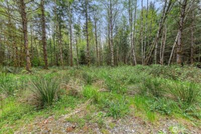 14439 Kayson Lane SE, Tenino, WA 98589 - Photo 17