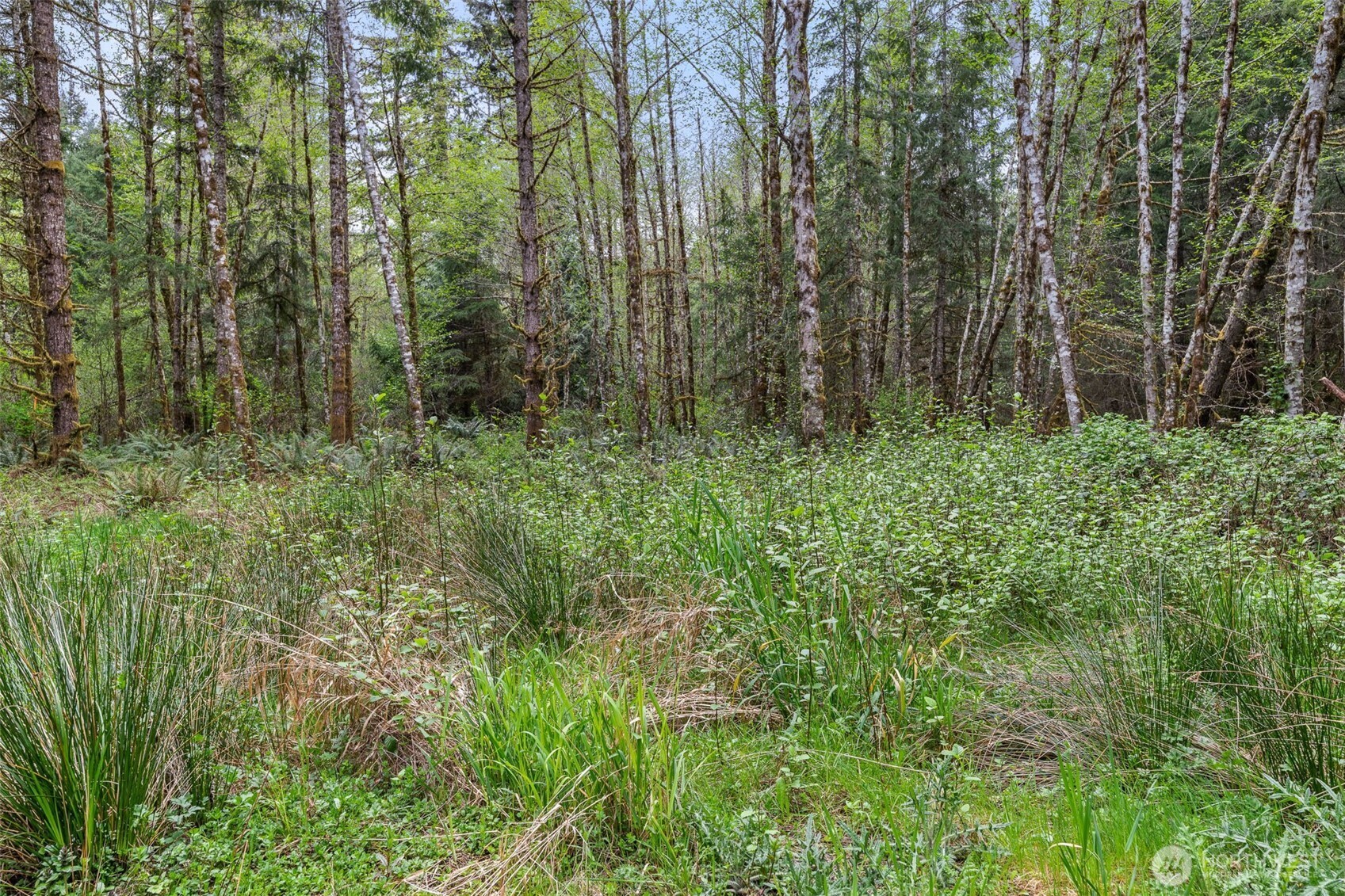 14439 Kayson Lane SE, Tenino, WA 98589
