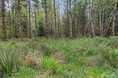 14439 Kayson Lane SE, Tenino, WA 98589 - Photo 18