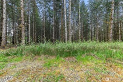 14439 Kayson Lane SE, Tenino, WA 98589 - Photo 19