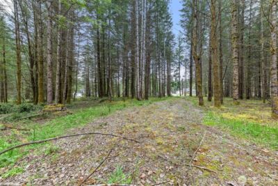 14439 Kayson Lane SE, Tenino, WA 98589 - Photo 20