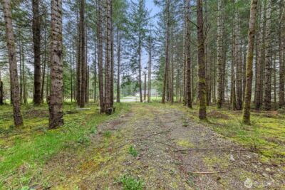 14439 Kayson Lane SE, Tenino, WA 98589 - Photo 23