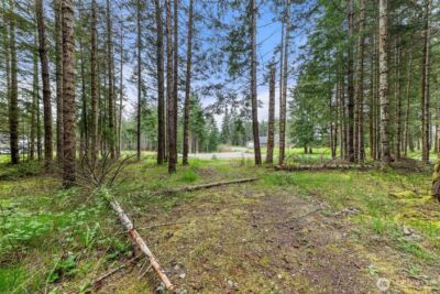 14439 Kayson Lane SE, Tenino, WA 98589 - Photo 24