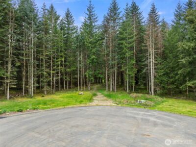 14439 Kayson Lane SE, Tenino, WA 98589 - Photo 3