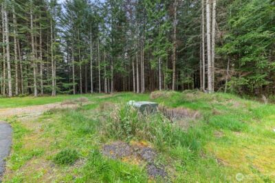 14439 Kayson Lane SE, Tenino, WA 98589 - Photo 4