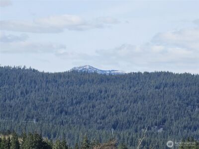 750 Iron Mountain Road , Cle Elum, WA 98922 - Photo 21