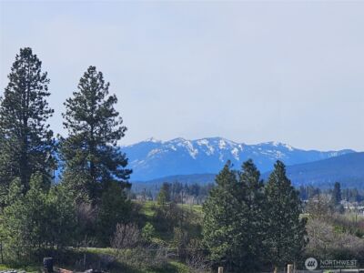 750 Iron Mountain Road , Cle Elum, WA 98922 - Photo 9