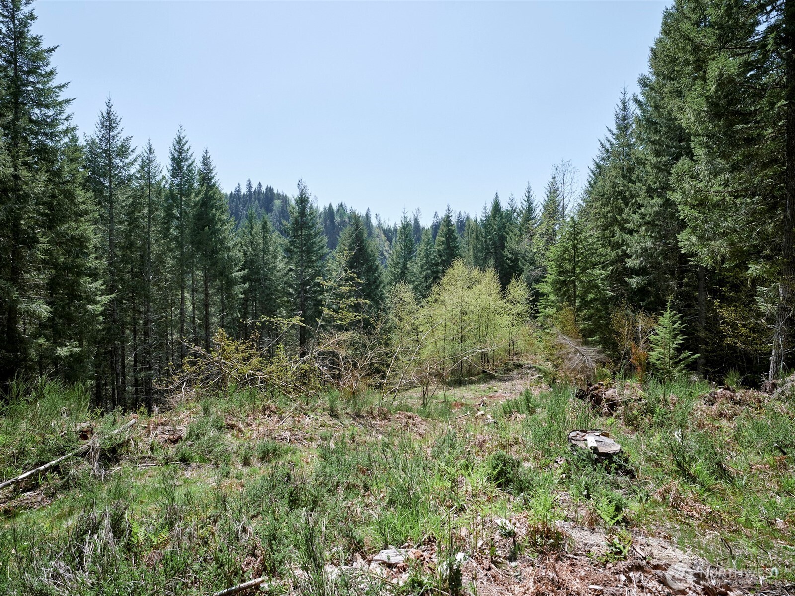 1 Loowit Lane , Cougar, WA 98616