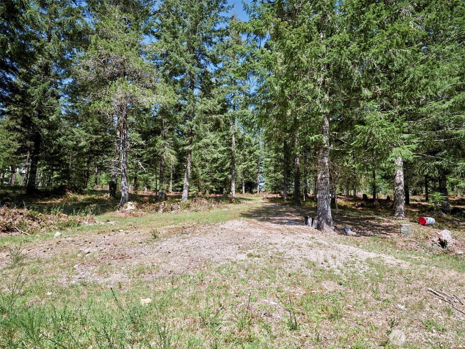 1 Loowit Lane , Cougar, WA 98616