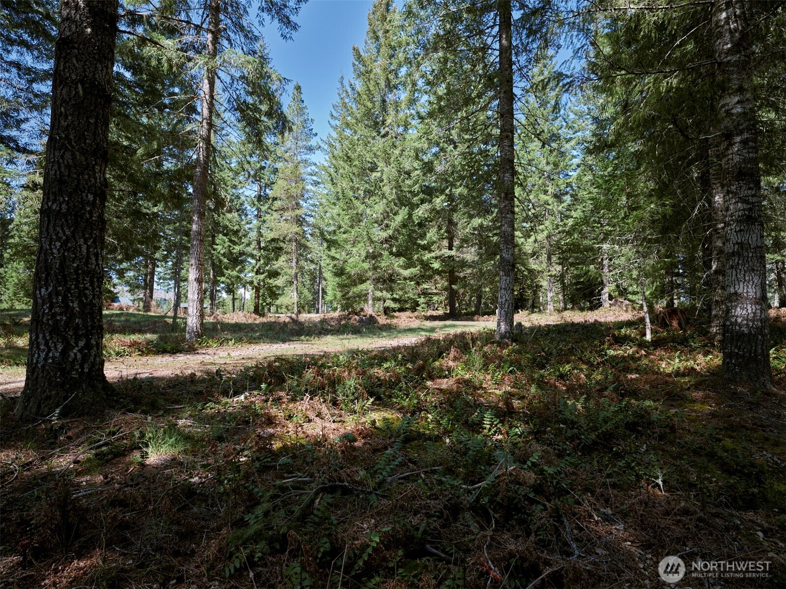 1 Loowit Lane , Cougar, WA 98616