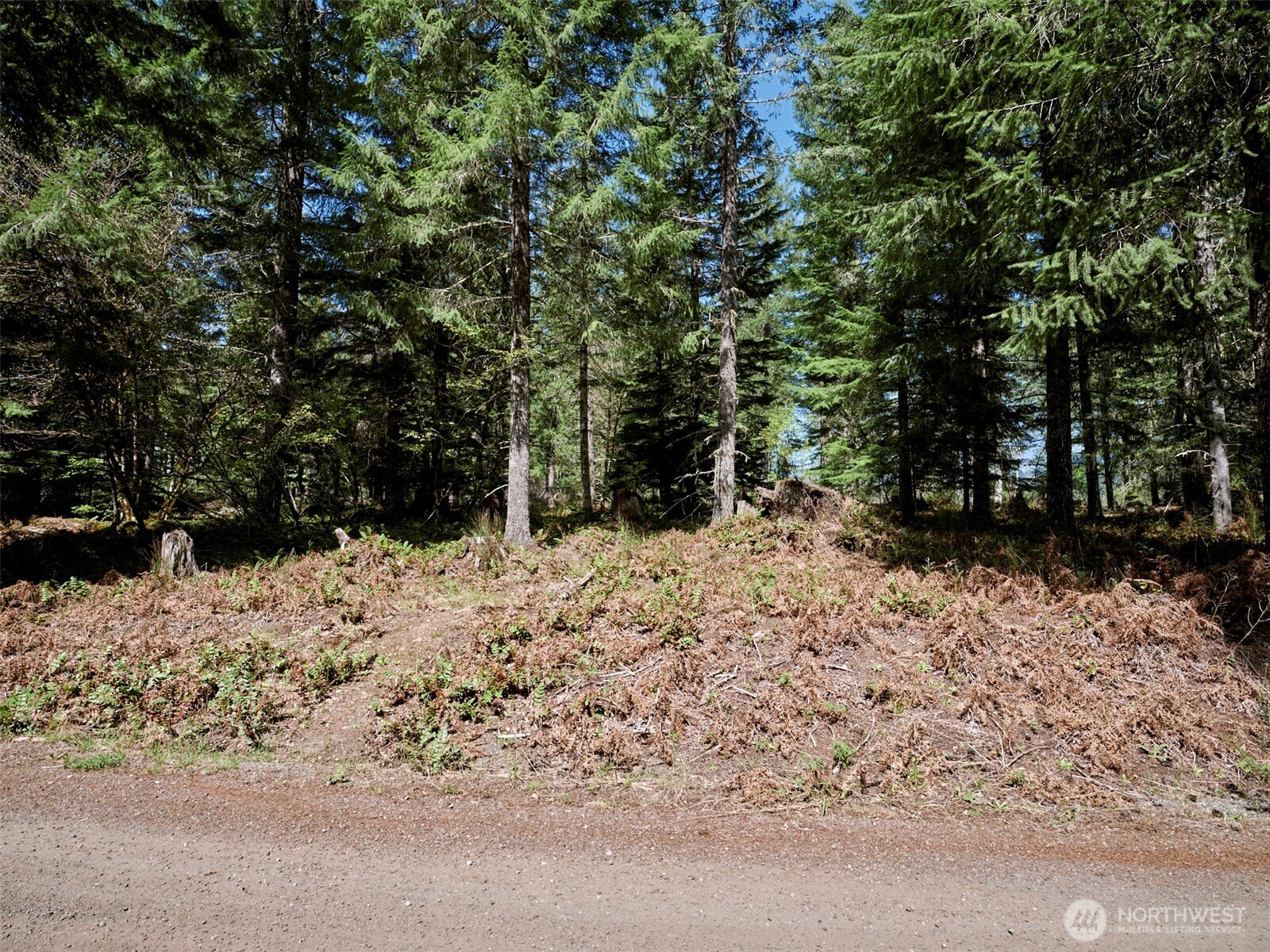1 Loowit Lane , Cougar, WA 98616