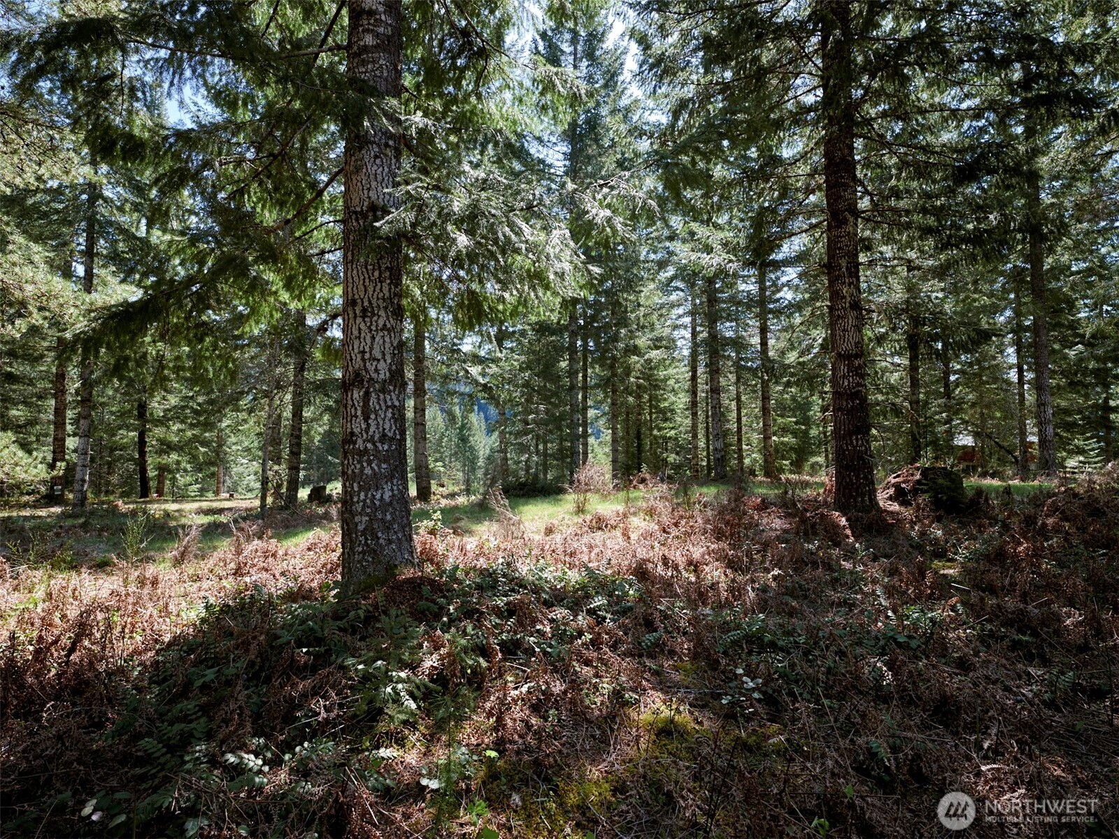 1 Loowit Lane , Cougar, WA 98616
