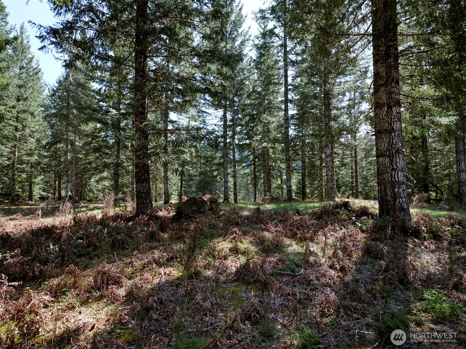 1 Loowit Lane , Cougar, WA 98616