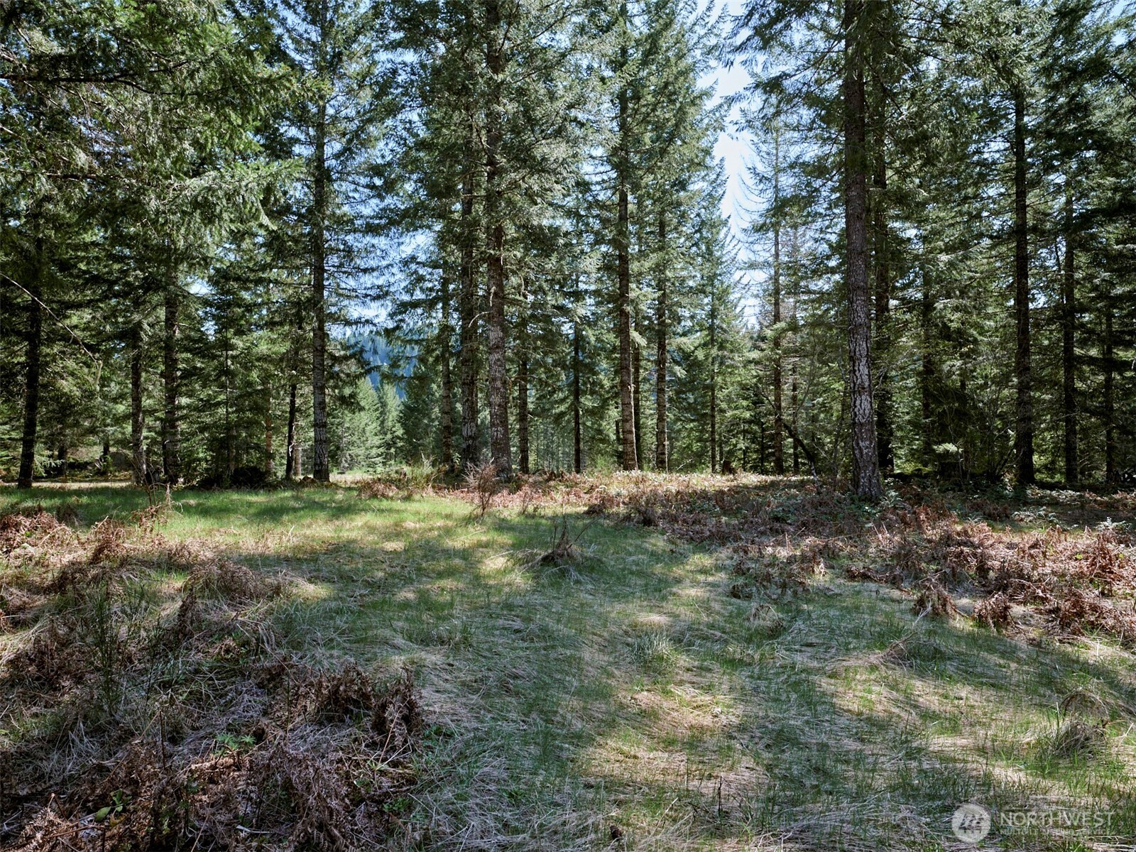 1 Loowit Lane , Cougar, WA 98616