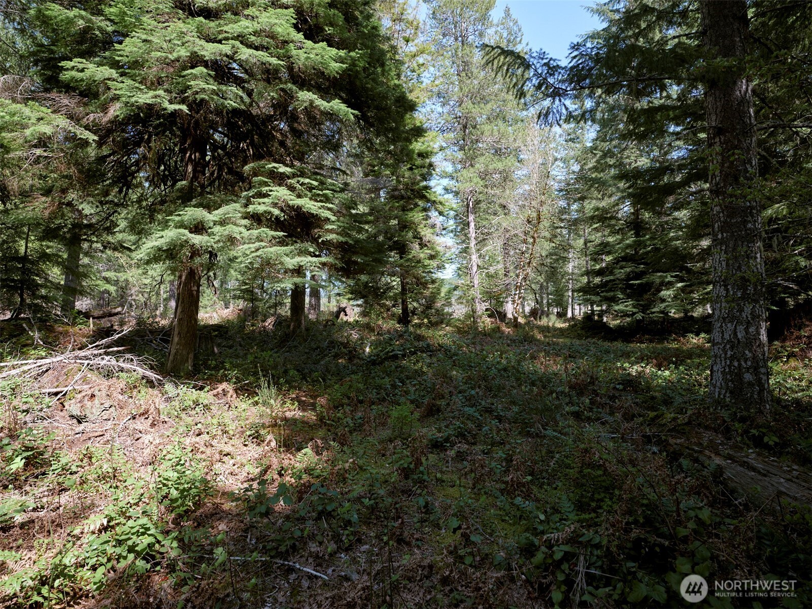 1 Loowit Lane , Cougar, WA 98616