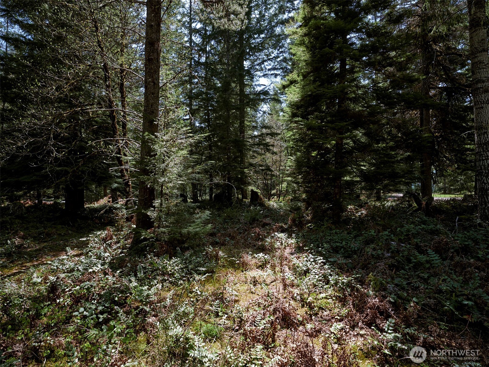1 Loowit Lane , Cougar, WA 98616