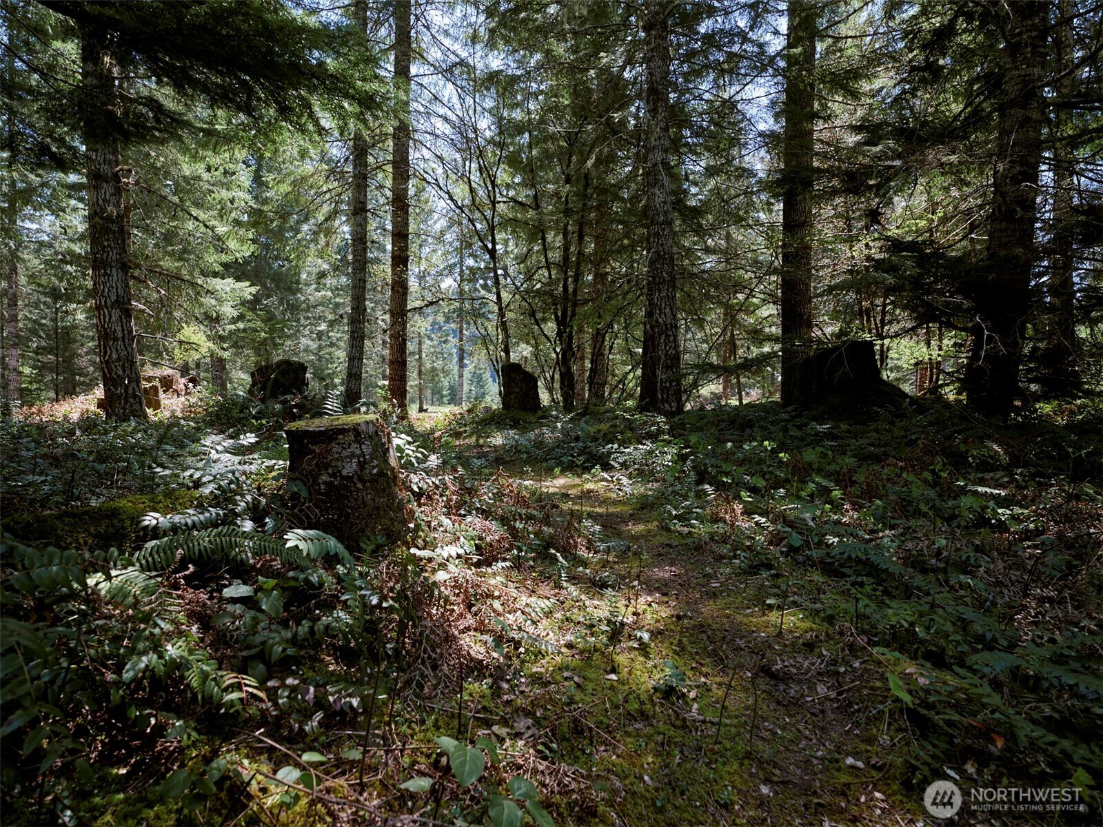 1 Loowit Lane , Cougar, WA 98616