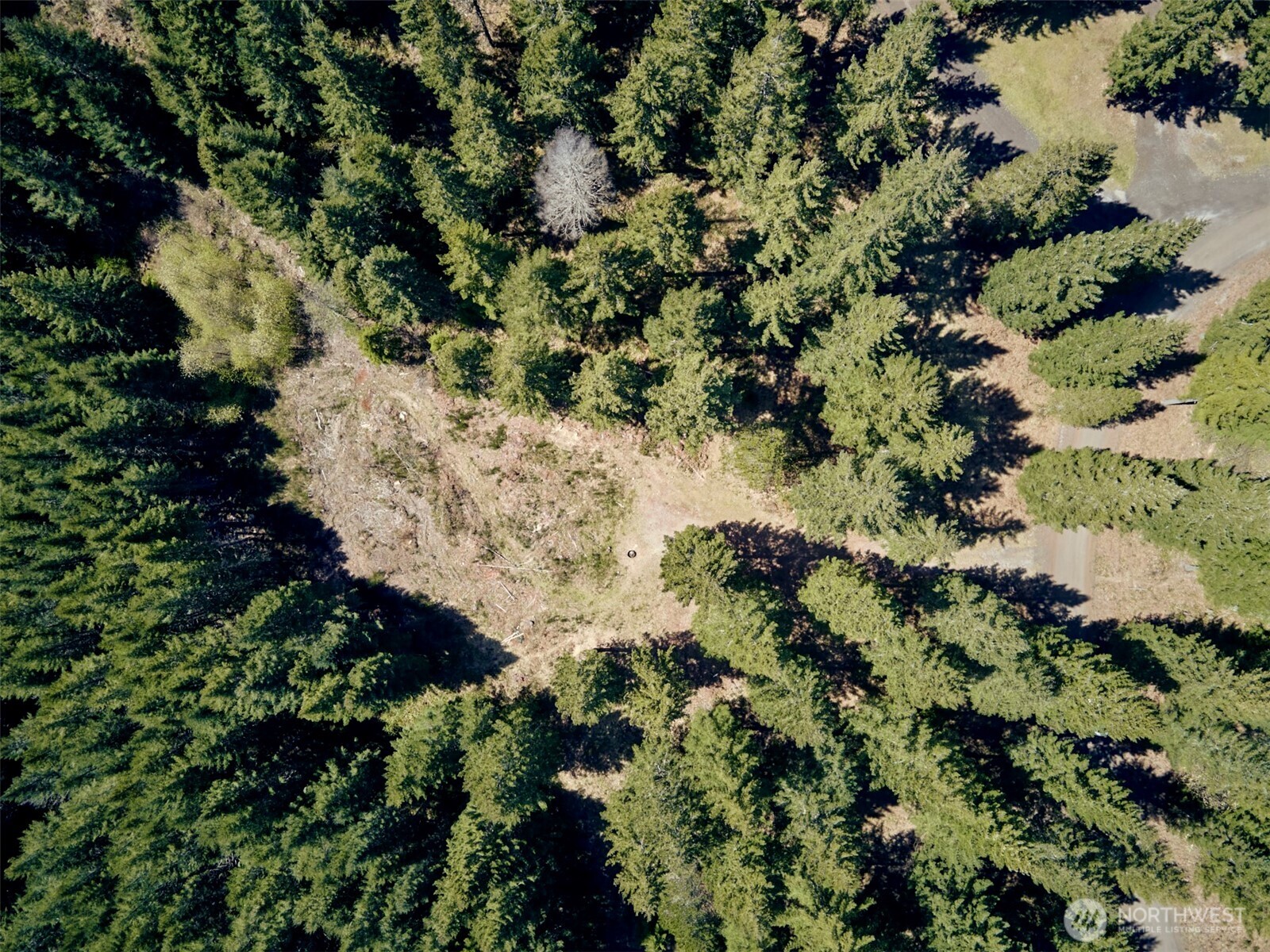 1 Loowit Lane , Cougar, WA 98616