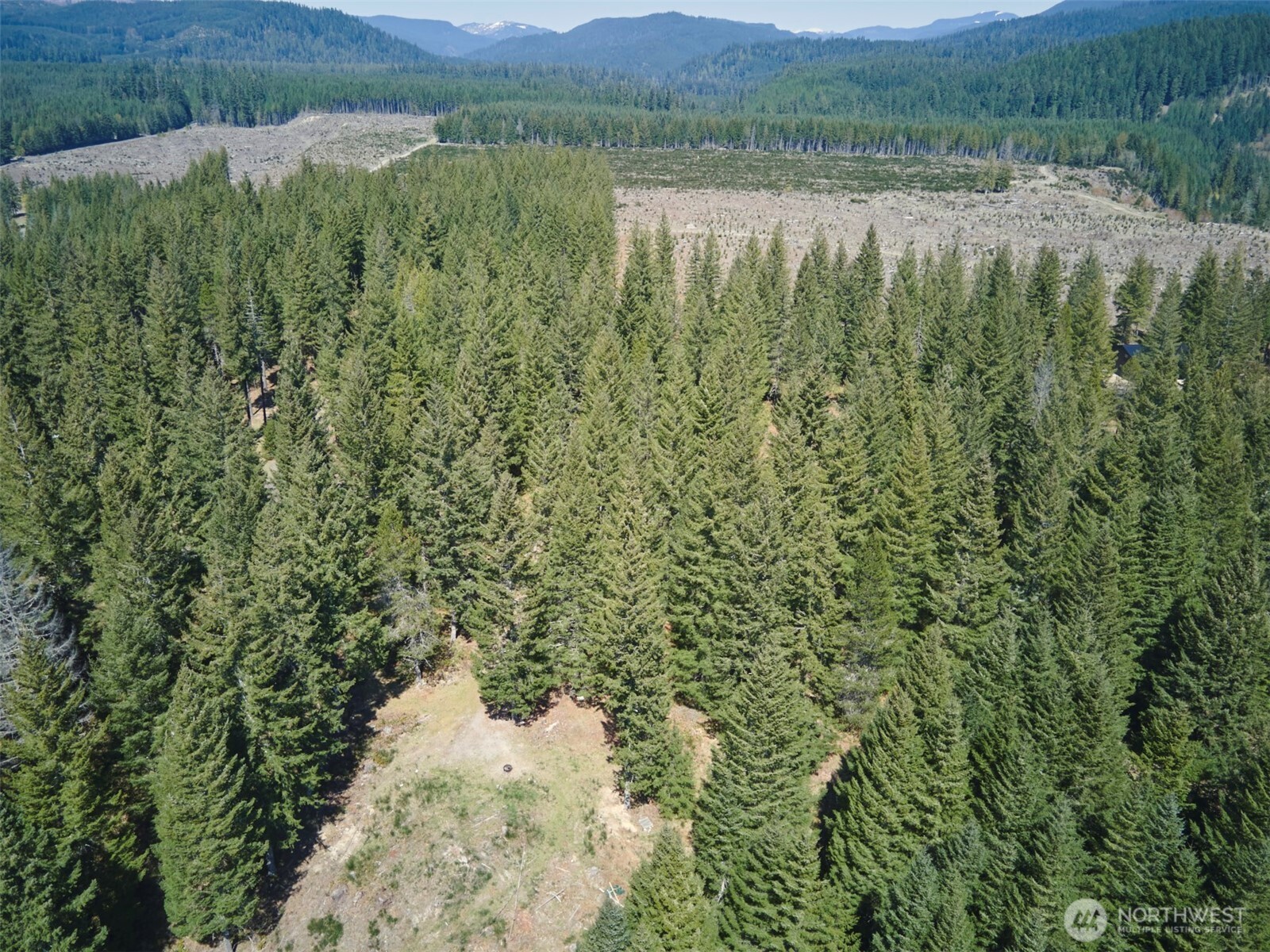 1 Loowit Lane , Cougar, WA 98616