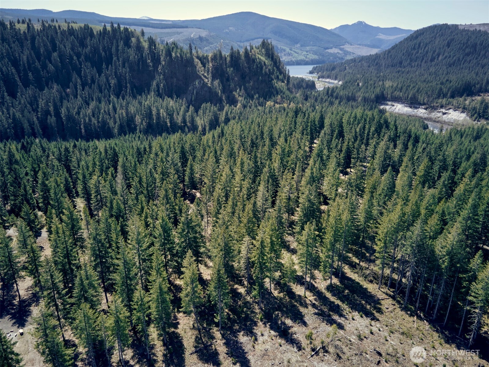 1 Loowit Lane , Cougar, WA 98616