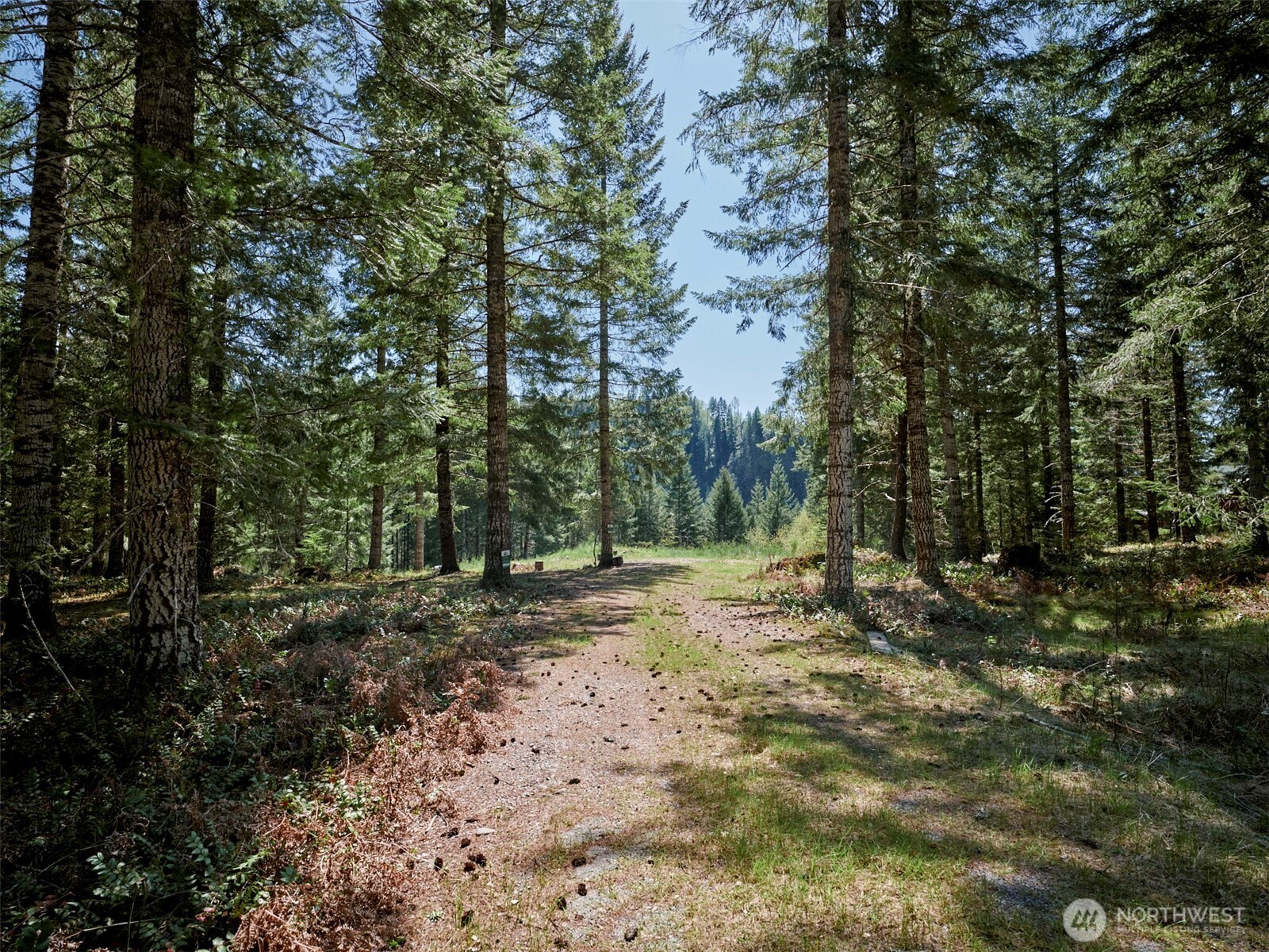 1 Loowit Lane , Cougar, WA 98616