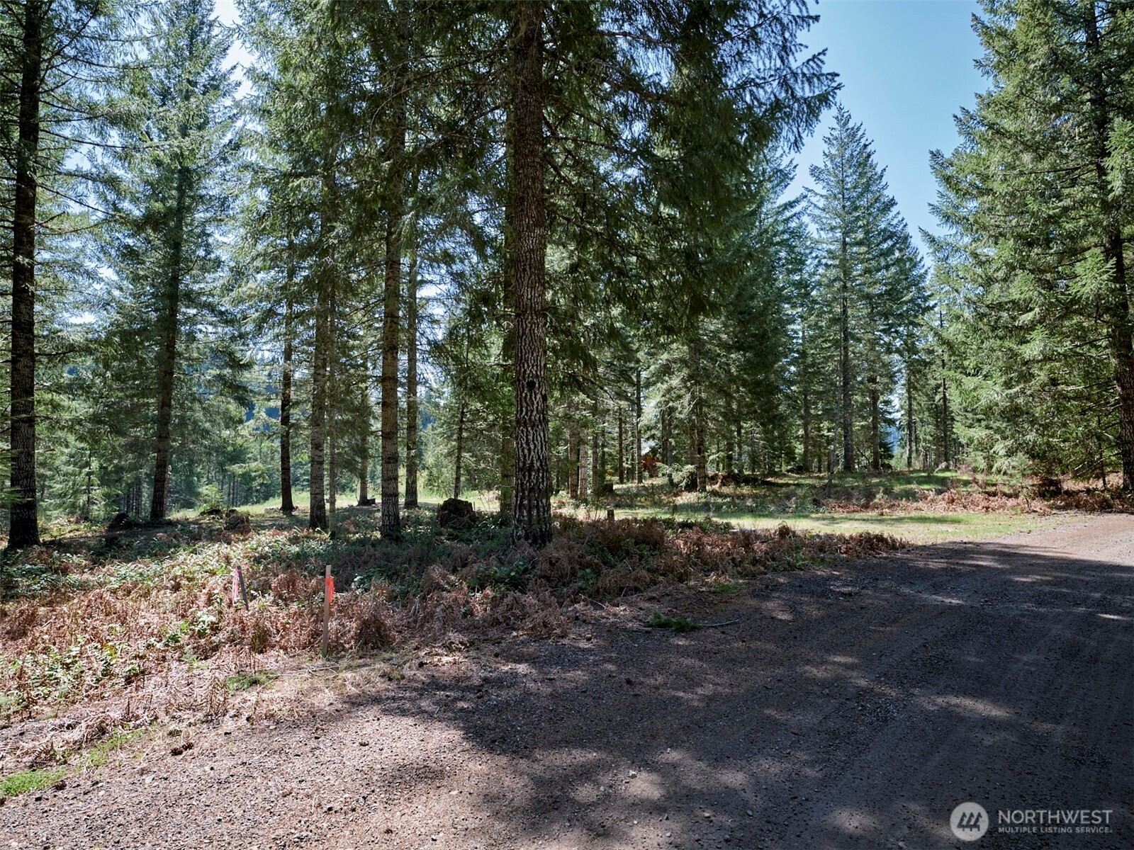 1 Loowit Lane , Cougar, WA 98616