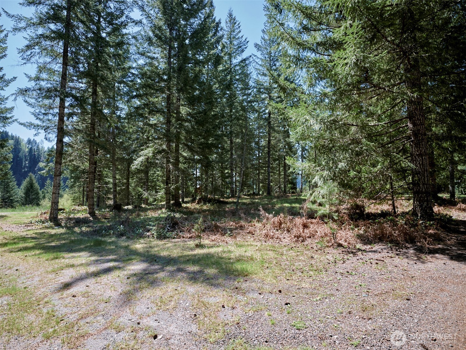 1 Loowit Lane , Cougar, WA 98616