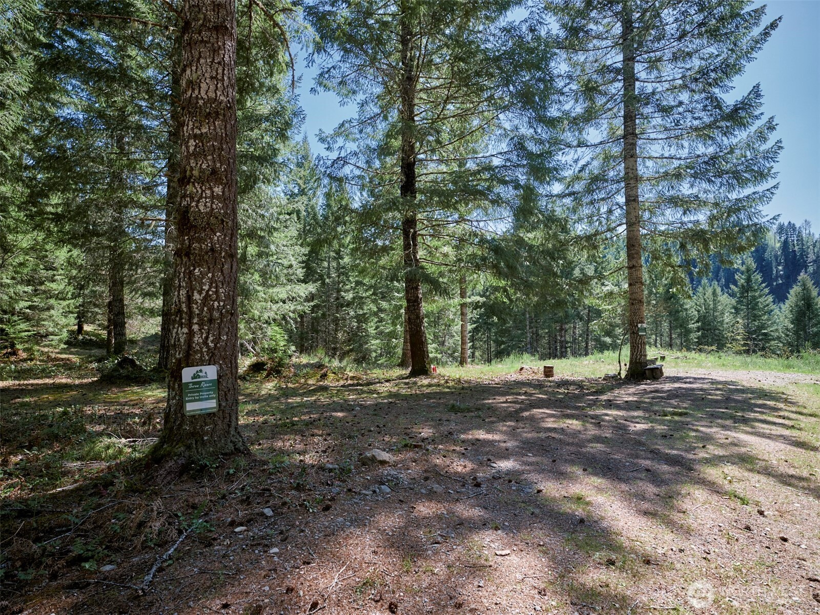 1 Loowit Lane , Cougar, WA 98616