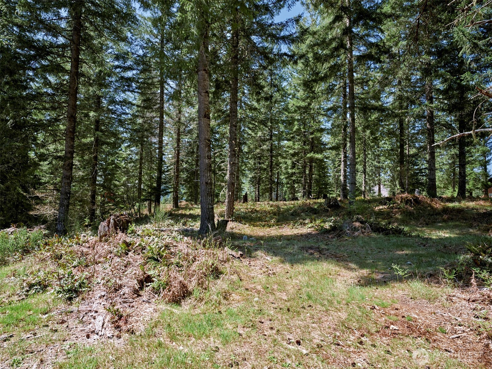 1 Loowit Lane , Cougar, WA 98616