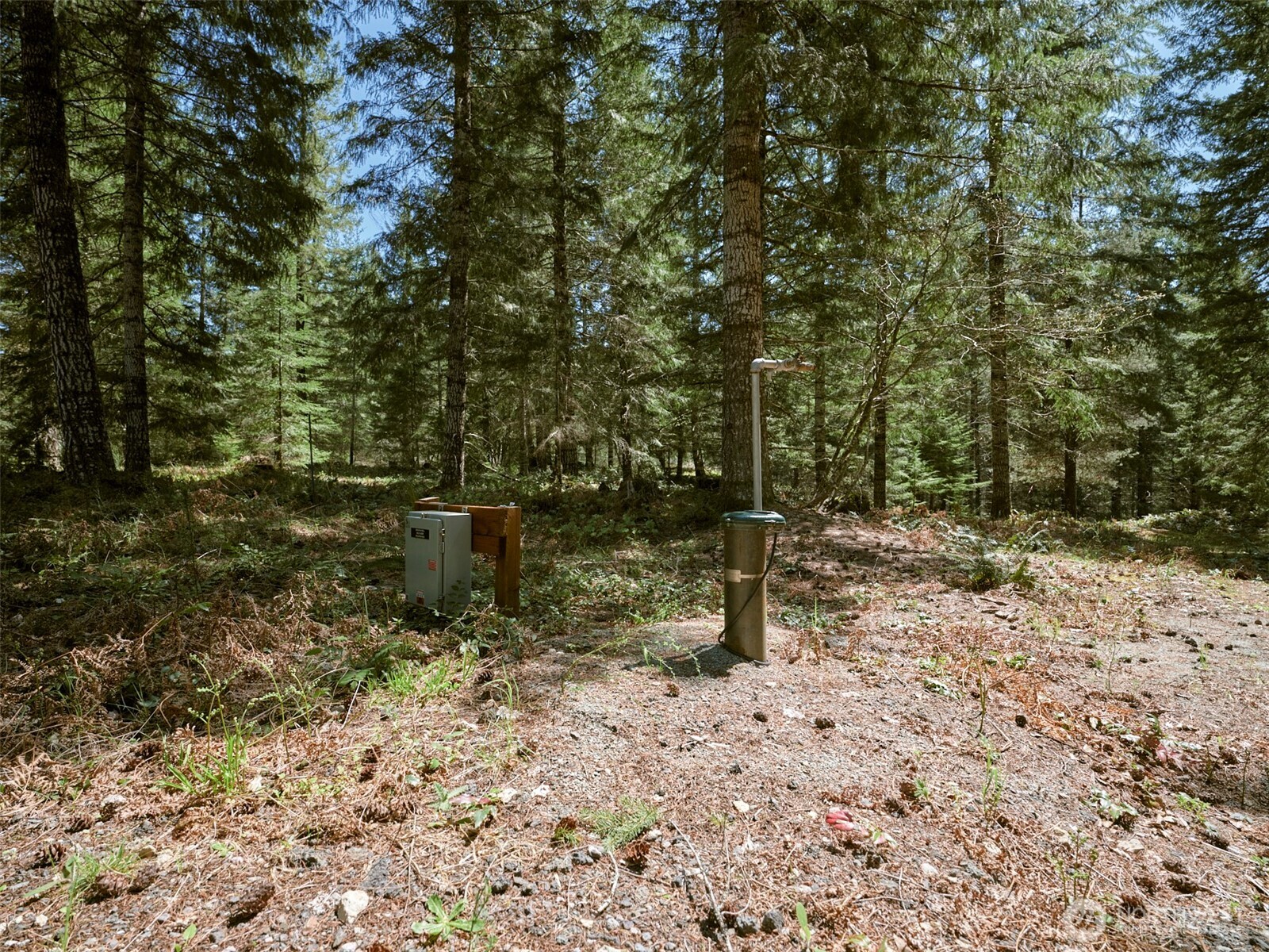 2 Loowit Lane , Cougar, WA 98616