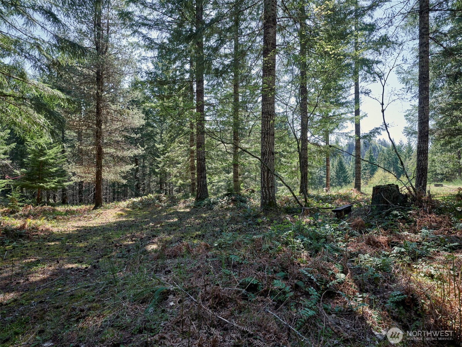 2 Loowit Lane , Cougar, WA 98616