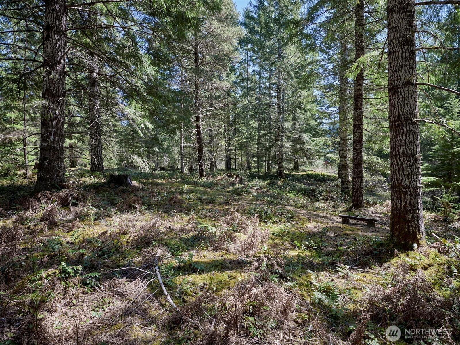 2 Loowit Lane , Cougar, WA 98616