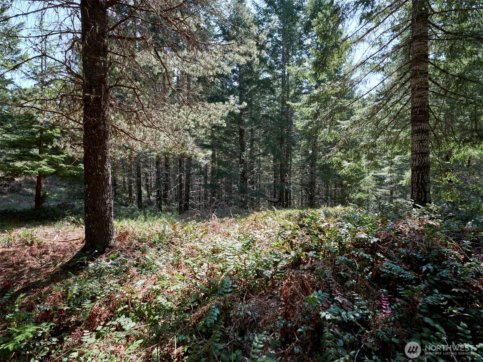 2 Loowit Lane , Cougar, WA 98616