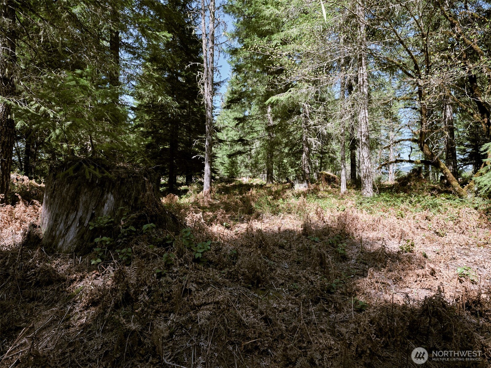 2 Loowit Lane , Cougar, WA 98616