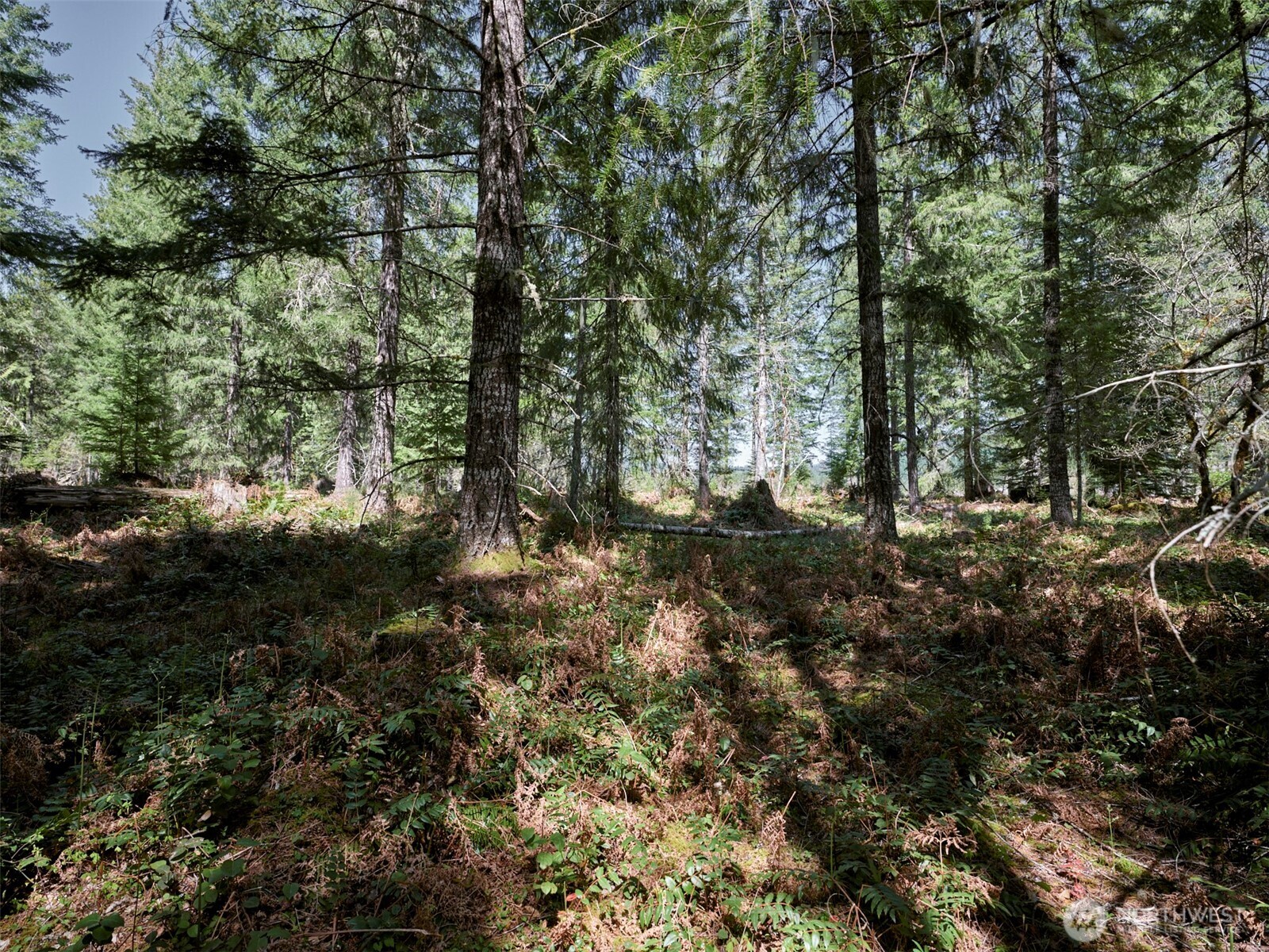 2 Loowit Lane , Cougar, WA 98616